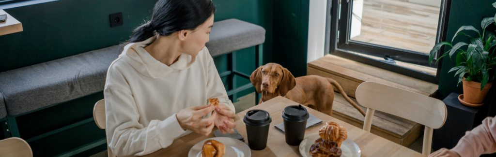 Woman Looking at Her Pet Dog