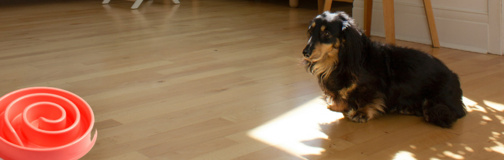 Sunsight in modern living room